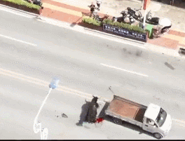 dae529513ca54e2a7ae46d004438740f.gif