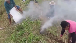 20170703144905680572643_1_mwpm_03201609.png