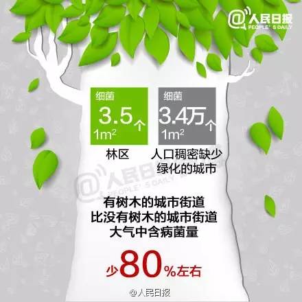 f50a76fac0b5b472838baacab775cc5e.jpg