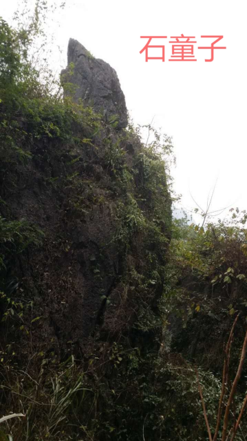765f3451d4e60d3dfa97480031c22a71.png