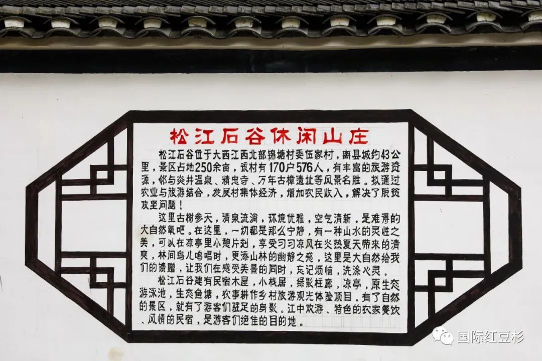7a847e9d49e2b5d56729131e4bf3771d.jpg