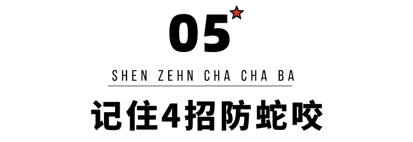 2159a918241a109620fe54277d95d798.png