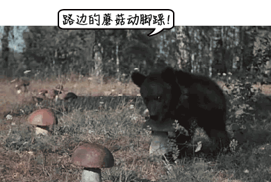 6486387d4f22ea6d6b8d6440aeaecbdb.gif