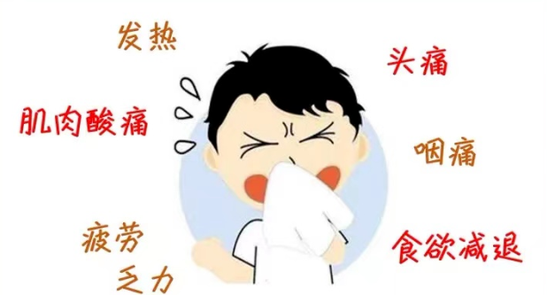 12f2f06af6f8a2da28b2eca8273366e1.png