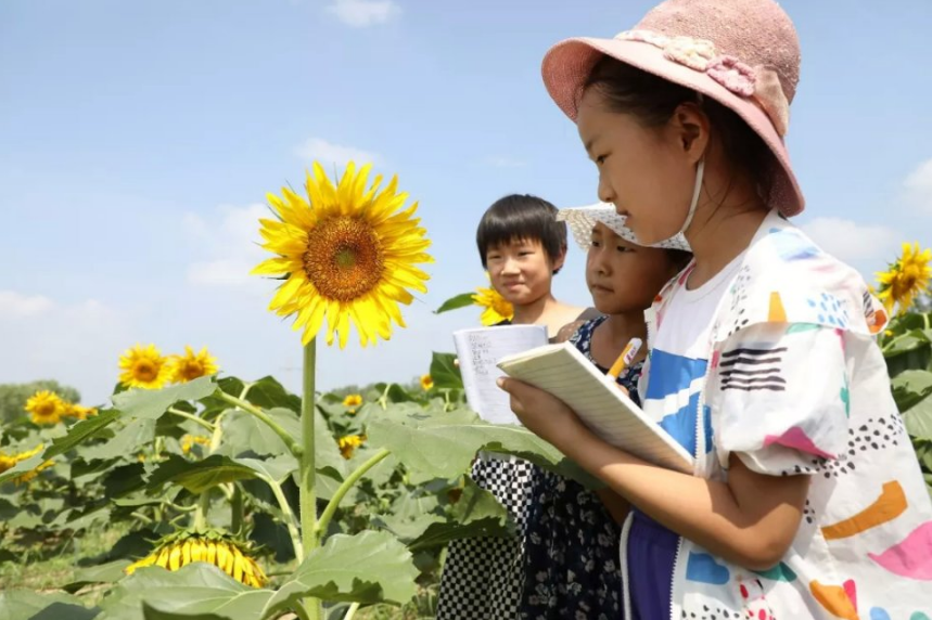QQ浏览器截图20220705150412.png