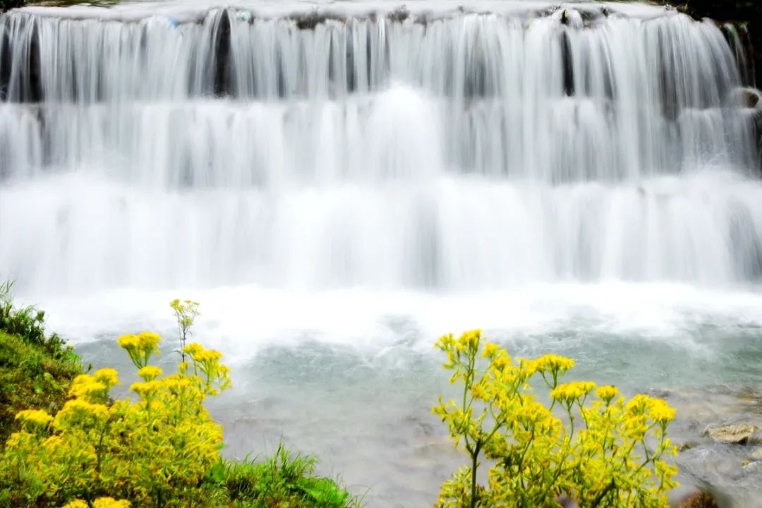 da03092730b8e40ff38a0a8f66a62d08.jpg