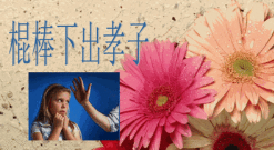 QQ浏览器截图20220709160949.png