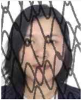 3eafe09b9a634580e0a24a379f738c0d.png
