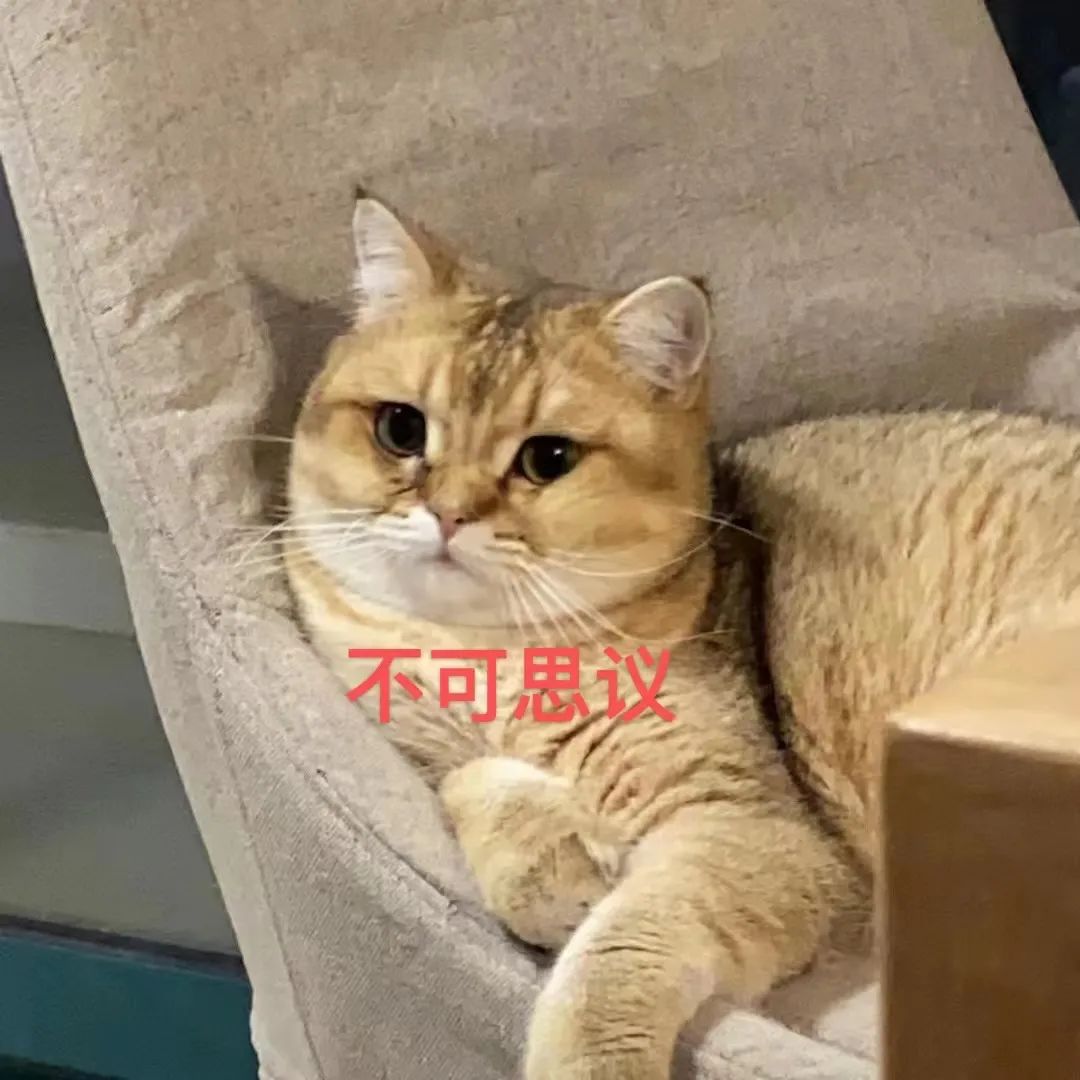 0819b82b1da3db89b6fe54f5cdcf7bda.jpg