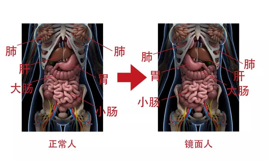 6db5d0d33d3cca7ae50e9b0ef0858072.jpg