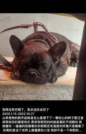 8343b6c55abe82d4006e8b3e5fa32285.png