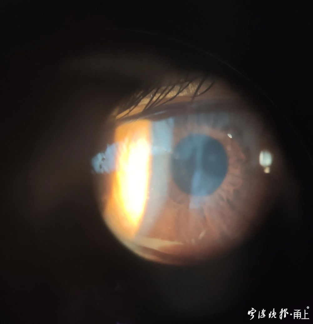 d41d6d2ba65346168dc7255a632439fa.jpg