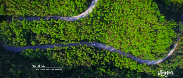13d172ca06db01c56692a0ccc3cd834f.gif