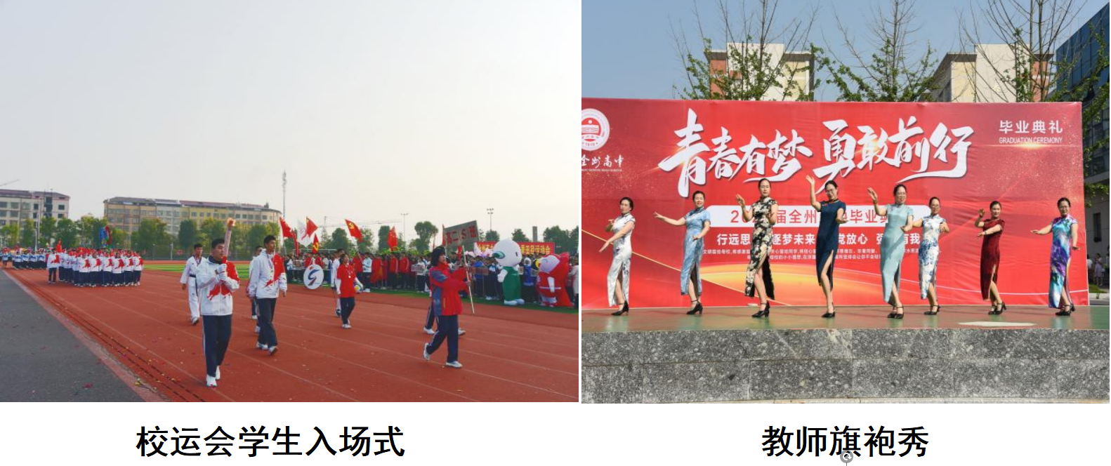 255df146795b1a1e9a35ca0c41482d24.png
