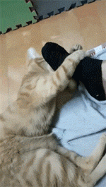 da2e05474b9428b6906f7066d02f327c.gif