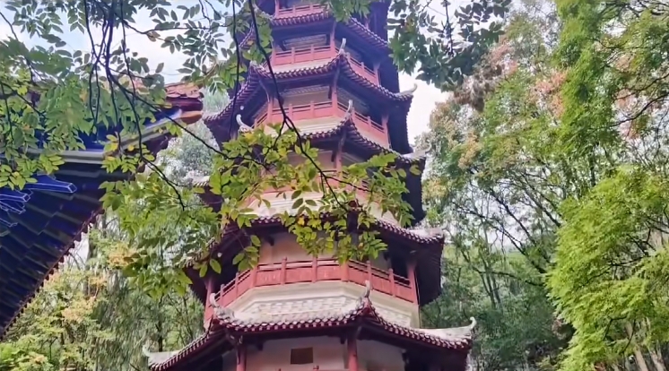 微信截图_20240202121338.png